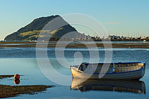 Peaceful Harbor and Rowboat, Tauranga, NZ