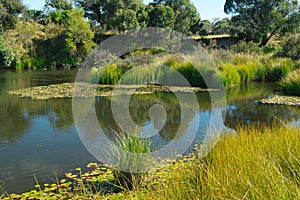 Peaceful headwaters of the Murrumbidgee River at Yaouk NSW photo