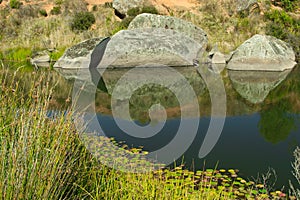 Peaceful headwaters of the Murrumbidgee River at Yaouk NSW photo