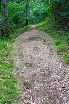 Peaceful Hiking Trail