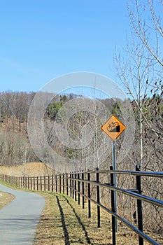Peaceful image of biking path through the woods