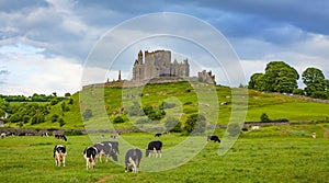 Peaceful Irish landscape, Rock of Cashel castle on background, Ireland