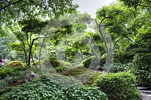 Peaceful japanese garden