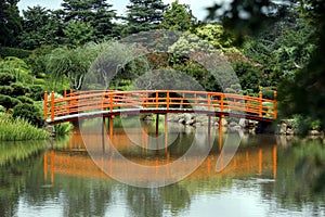 Peaceful Japanese style bridge with reflections