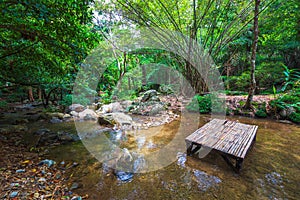 Peaceful Jungle with Bamboo Rest Seat