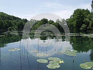 Peaceful lake with clouds and trees reflected in water