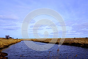 Peaceful lake in early spring