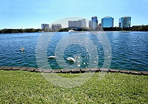 Peaceful Lake Eola Park in downtown Orlando, Florida