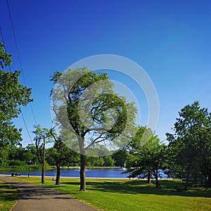 Peaceful Lake Guttenberg New York