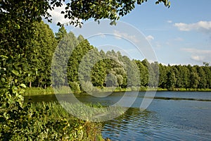 Peaceful lake inside forest