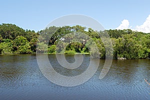 Peaceful lake in a nature preserve in Sarasota Florida