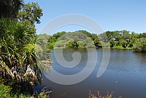 Peaceful lake in a nature preserve in Sarasota Florida