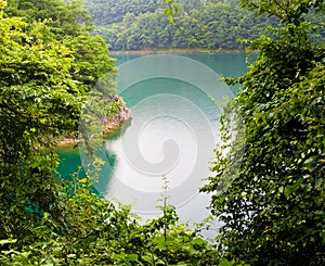 Peaceful lake in Tokyo