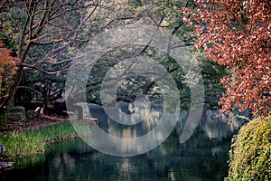 Peaceful lake with trees