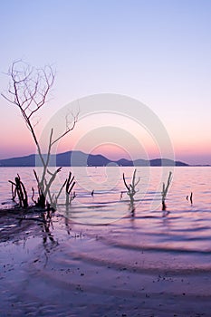A peaceful lakeside at sunset, beautiful gently waves and leafless tree trunks. Mountains, lighting and twilight sky blurred