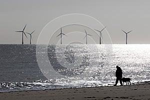 Peaceful landscape image. Lonely person dog walker. Mans best friend