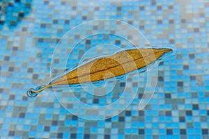 Peaceful leaf floating in pool with nice reflections up skyward. This brown and orange leaf in the pool floats buoyant right at th