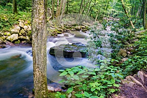 Peaceful Little Stony Creek, Jefferson National Forest, USA