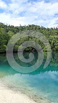 Peaceful mangrove with turquoise water remote area wildlife place forest