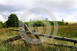 Peaceful meadows photo