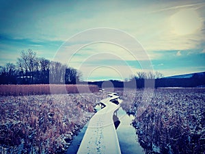 Peaceful Meandering Boardwalk