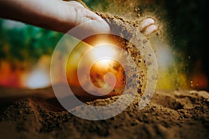 A peaceful moment captured in time, as hands gently work the soil