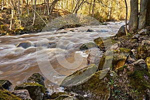 Peaceful Moody River scene on forest in spring time