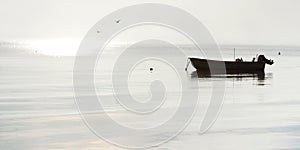 Peaceful morning landscape