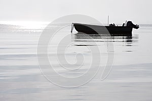 Peaceful morning landscape