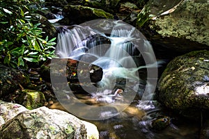 Peaceful Mountain Stream