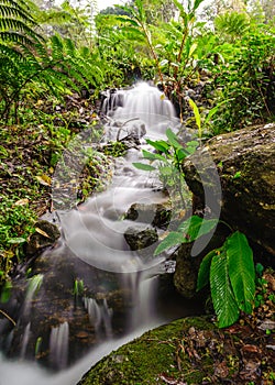 Peaceful mountain stream flows through lush forest , Doi Inthanon National Park Thailand