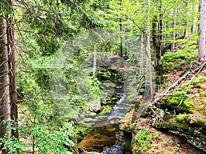 Peaceful mountain stream flows through lush forest. Great for backgrounds, covers