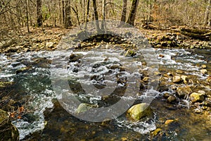 Peaceful Mountain Trout Stream in the Blue Ridge Mountains
