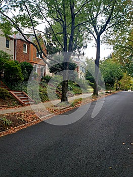 Peaceful neighborhood in fall collors