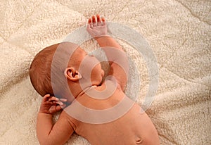 Peaceful newborn infant taking a nap