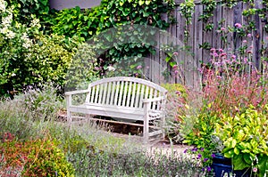 Peaceful park bench in a beautiful summer garden
