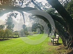 Peaceful park, field and benches in the morning. photo