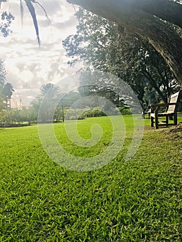 Peaceful park, field and benches in the morning. Vertical photo image.