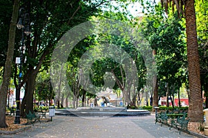 Peaceful park with a fountain and statues in Mexico City