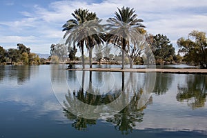 Peaceful Park by a Lake