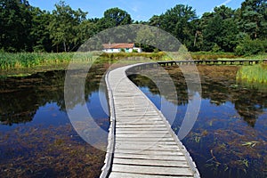 Peaceful path - Mindfulness photo