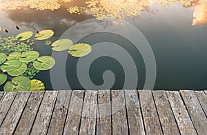 Peaceful place at the pond