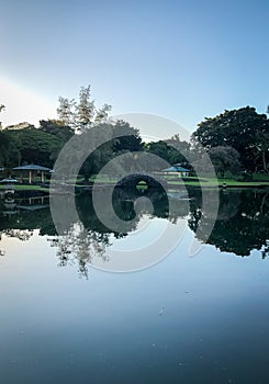 Peaceful pond in a park