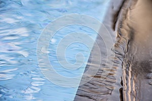 Peaceful pool reflection with unpredictable change although you can anticipate certain fluctuations. As the water ripples and dif