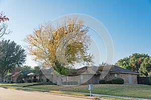 Peaceful residential street with colorful autumn leaves at front yard of one story bungalow house suburbs Dallas, Texas, USA