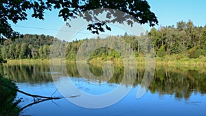 Peaceful river flowing in the forest