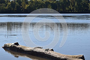 Peaceful river scene on the Mississippi River.