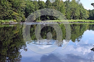 Peaceful river with water ring