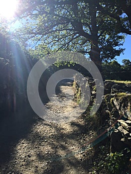 Peaceful rock road over the Spanish Trail. The light escaping through the trees.