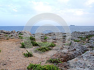 The Peaceful Rocky Island of Filfla